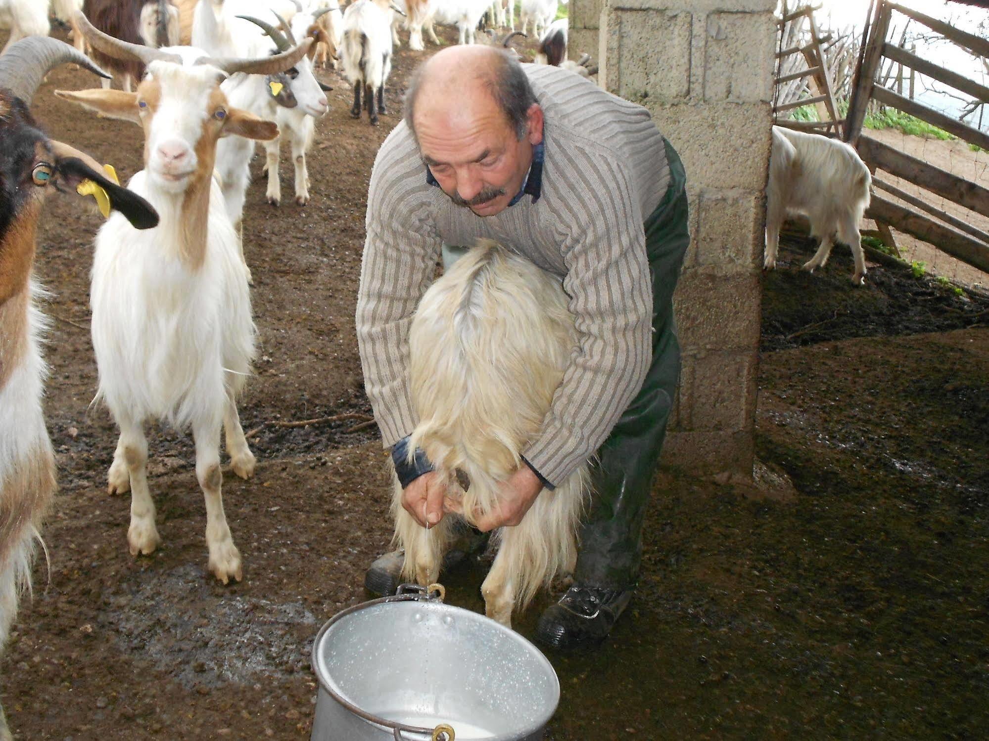 فيلا L'Aquila أربوس المظهر الخارجي الصورة