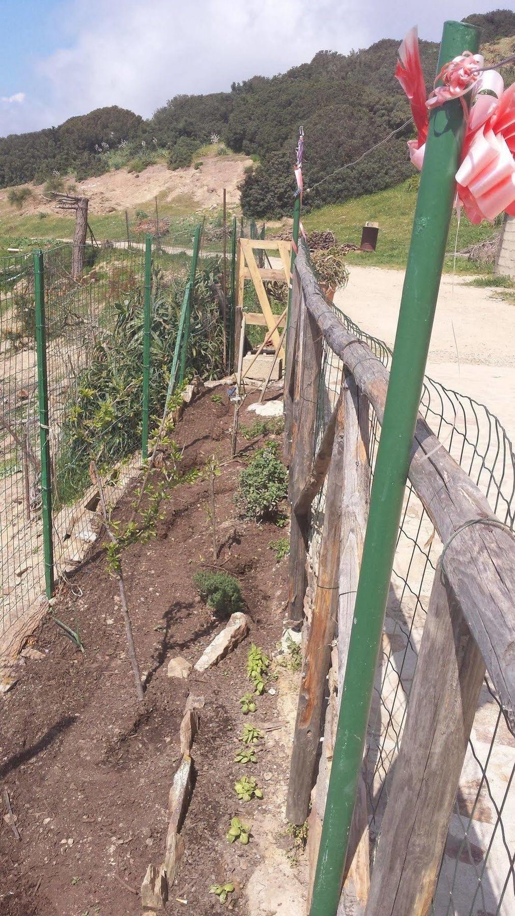 فيلا L'Aquila أربوس المظهر الخارجي الصورة